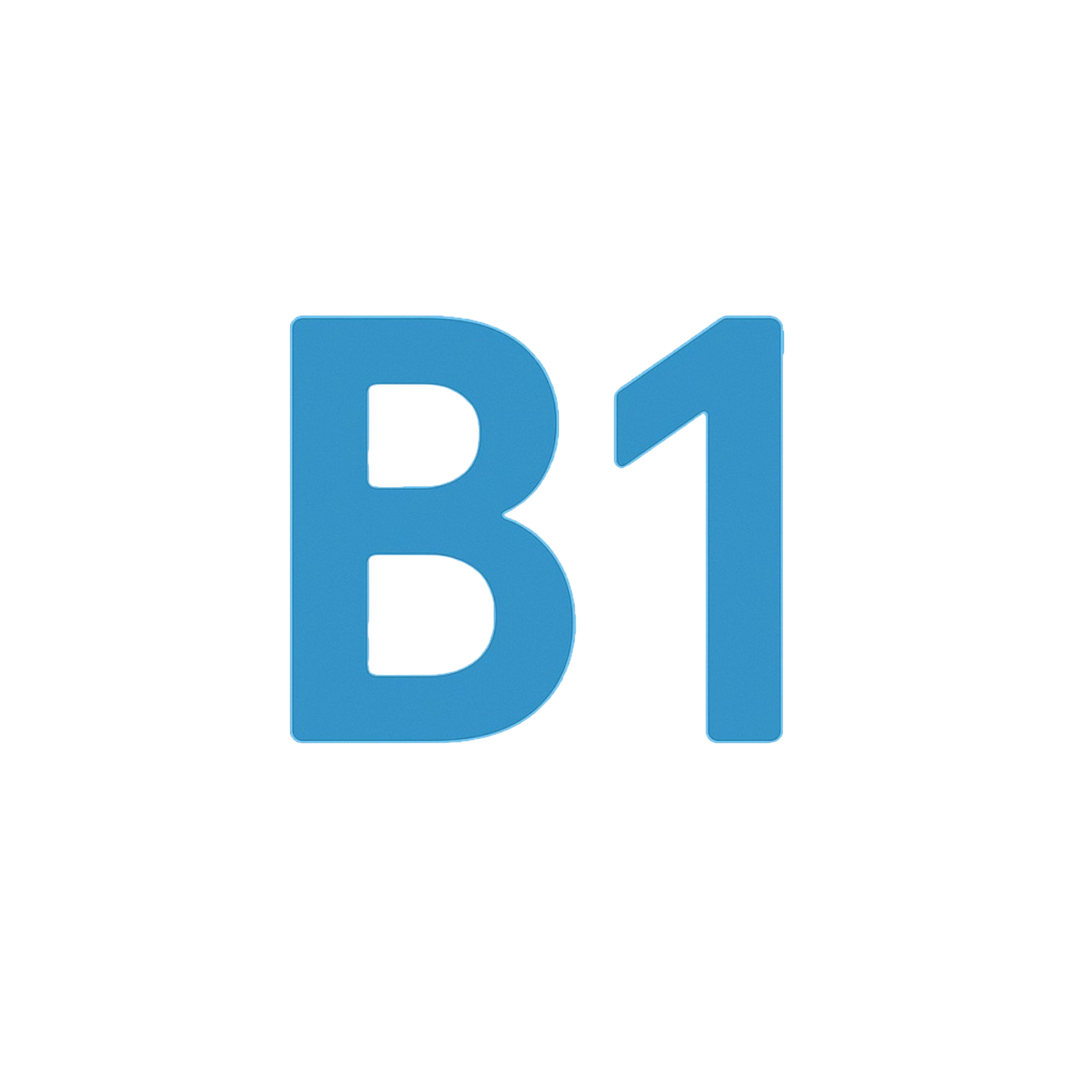 B1 icon